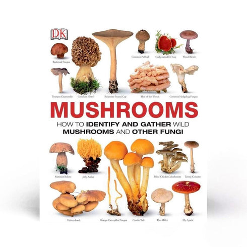 How to Identify & Gather Wild Mushrooms and Other Fungi